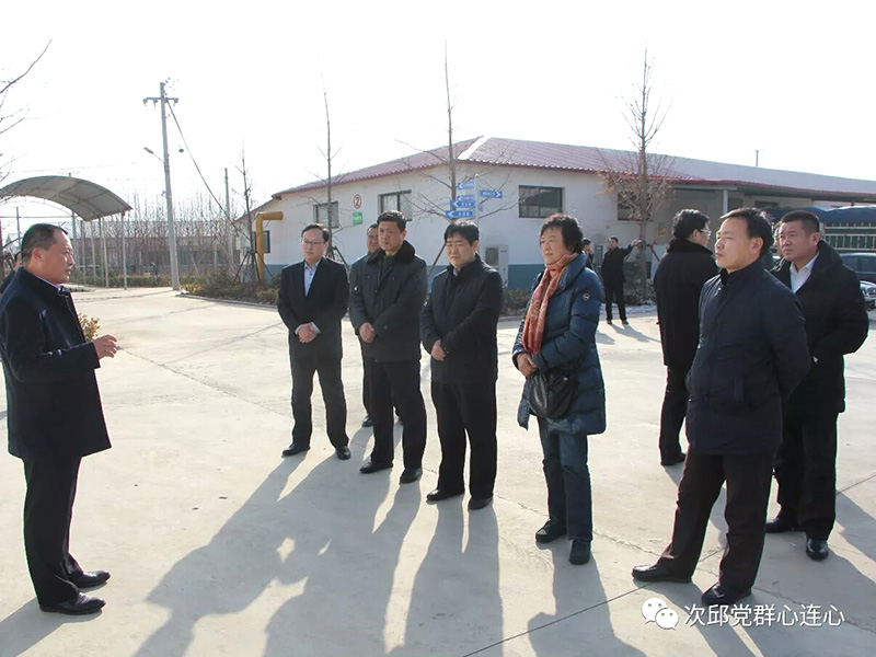 市政協(xié)原副主席、民建市委原主委?；萏m，市人大常委、民建市委副主委周中穩(wěn)一行到我公司調(diào)研蘆花雞養(yǎng)殖發(fā)展情況
