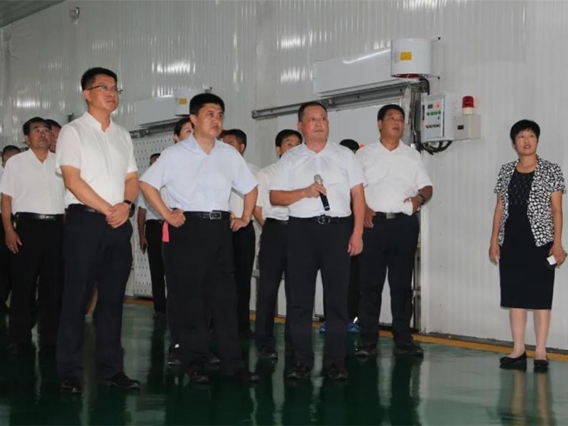 全市農(nóng)業(yè)農(nóng)村攻堅(jiān)三季度決勝下半年現(xiàn)場(chǎng)觀摩暨工作推進(jìn)會(huì)觀摩團(tuán)到金秋農(nóng)牧公司觀摩指導(dǎo)工作