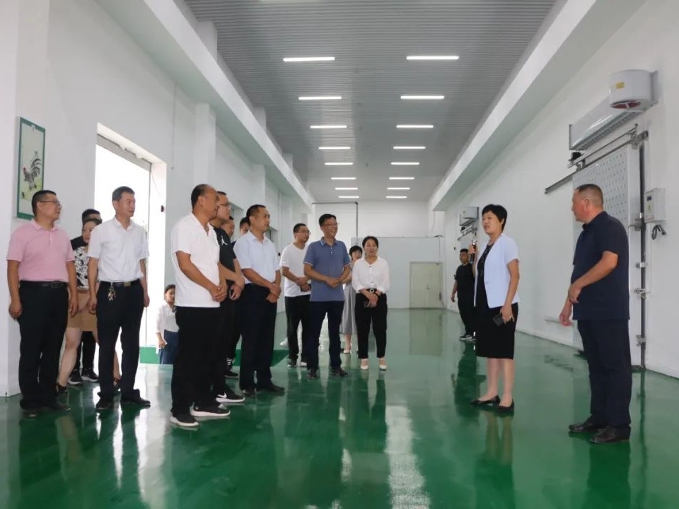 苑莊鎮(zhèn)考察團(tuán)到金秋農(nóng)牧公司考察交流汶上蘆花雞全產(chǎn)業(yè)鏈標(biāo)準(zhǔn)化生產(chǎn)基地項(xiàng)目建設(shè)工作