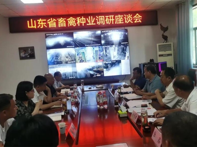 省委政研室調(diào)研員王臻一行到金秋農(nóng)牧公司調(diào)研汶上蘆花雞種業(yè)發(fā)展情況